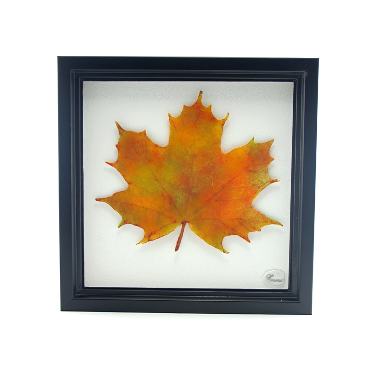Majesté d'automne #4. Glass: 23.5 cm x 20.5 cm; frame: 30 cm x 30 cm. CAD 175